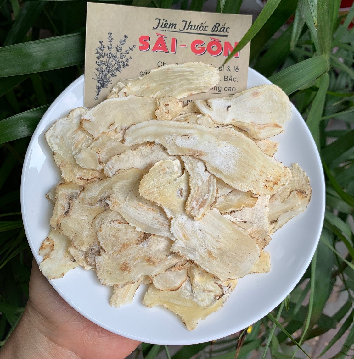 [HCM]Sâm Quy Thái Lát Thượng Hạng 100gram