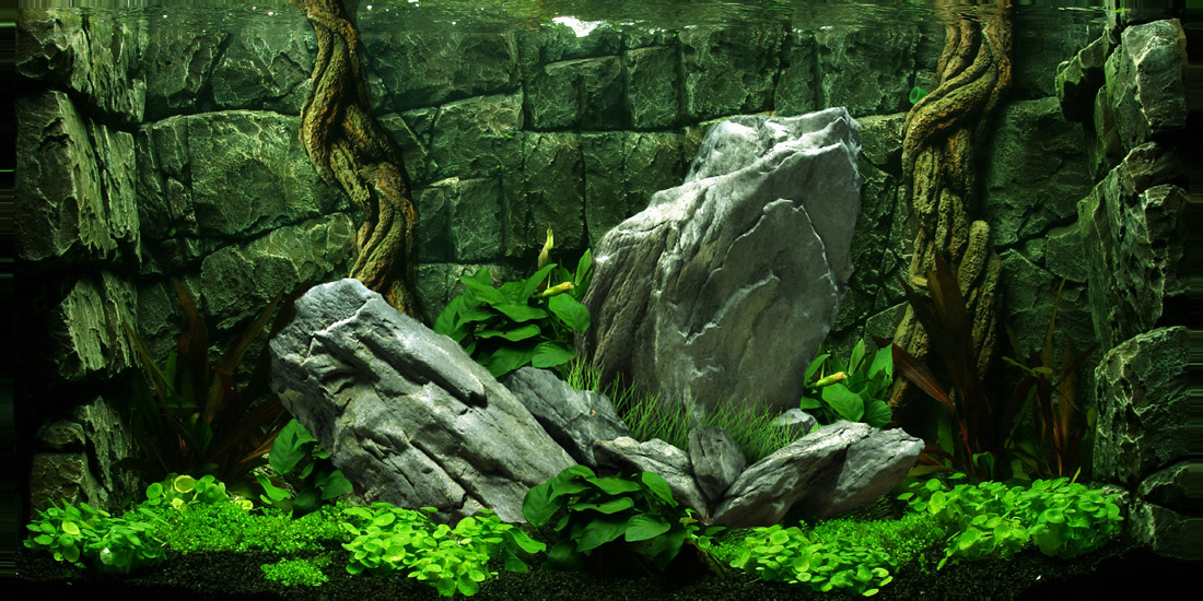 Tranh dán hồ cá HD Cảnh cây thủy sinh và đá HC002 nhiều kích thước