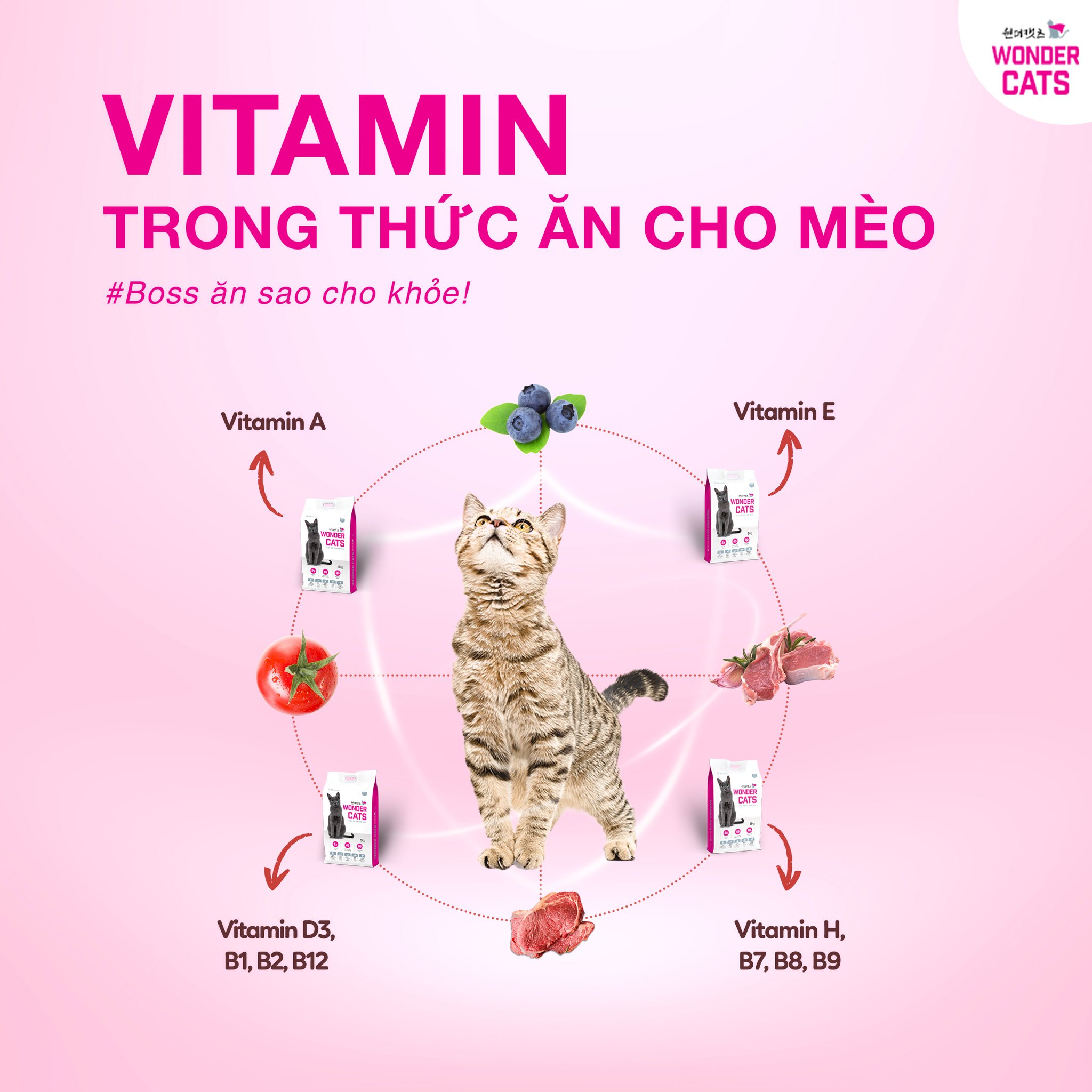 Thức ăn cho mèo mọi lứa tuổi Wonder Cats