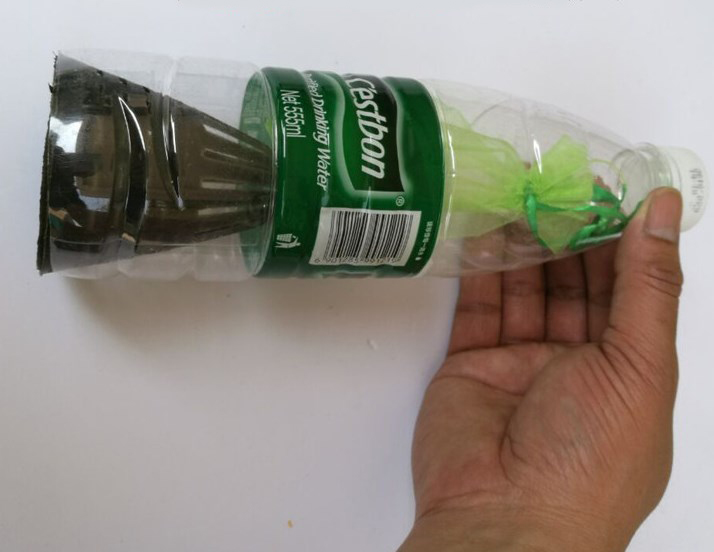 10 Chiếc Hom Lươn Siêu Nhậy