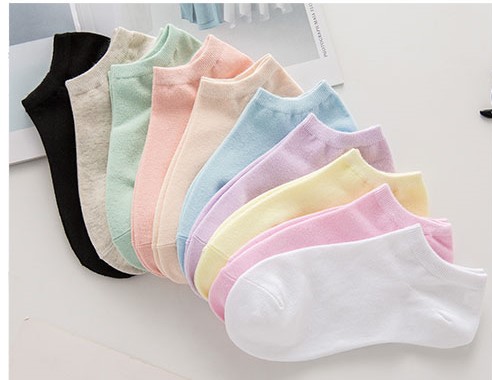 Tất Nữ Cổ Ngắn Basic Cotton Trơn Nhiều Màu Đơn Giản