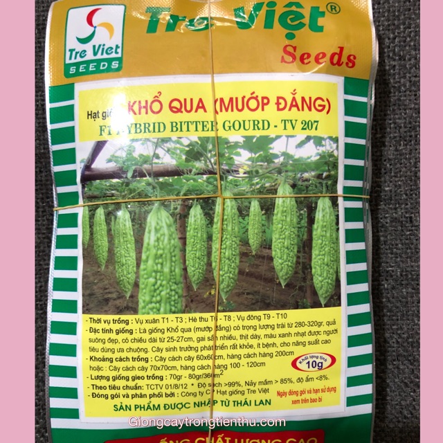 HẠT GIỐNG KHỔ QUA (MƯỚP ĐẮNG) F1 TV207