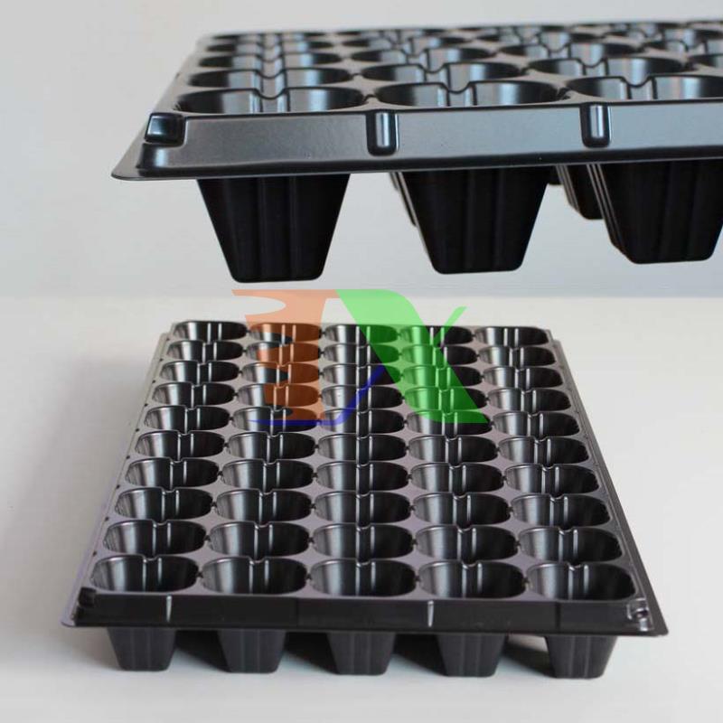 Set 5 tray nursery tree, nursery tray beads, blister ươm (50 holes)