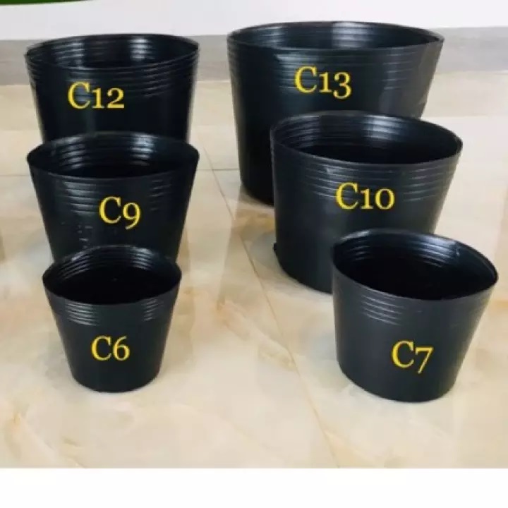 chậu nhựa C7 Cũ
