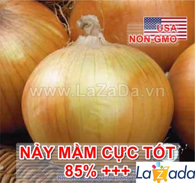 0.3Gr Hạt Giống Hành Củ Vàng Texas Grano (TLA0| C24*W21*M216)