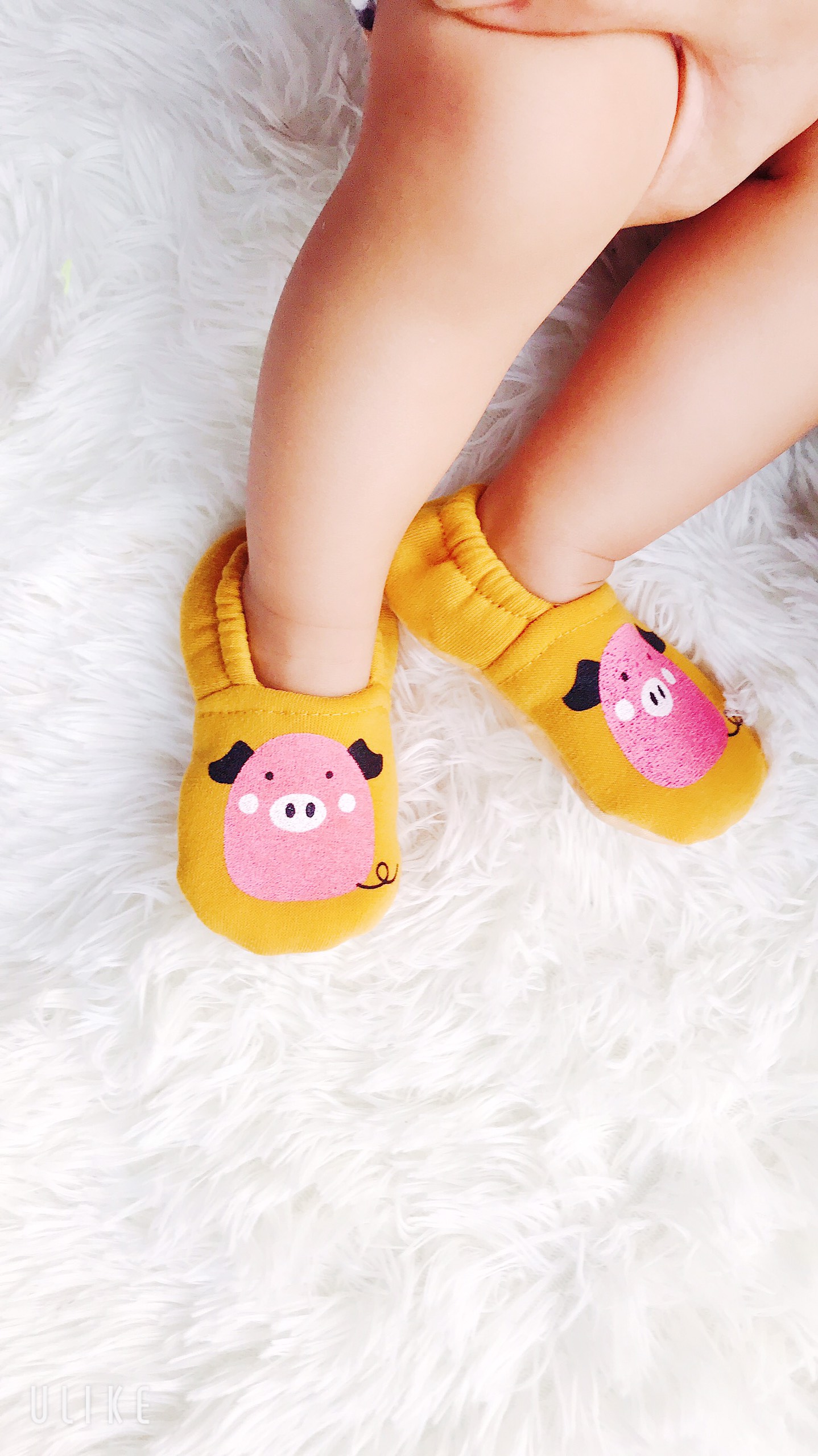 SET GIÀY TẬP ĐI BÉ TRAI