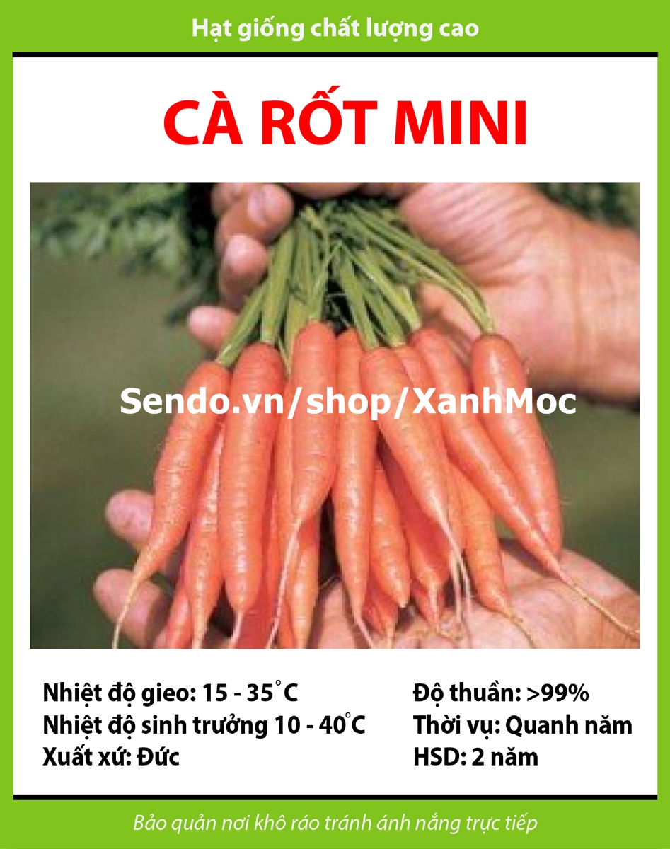 50 Hạt giống Cà rốt mini tặng kèm kích mầm