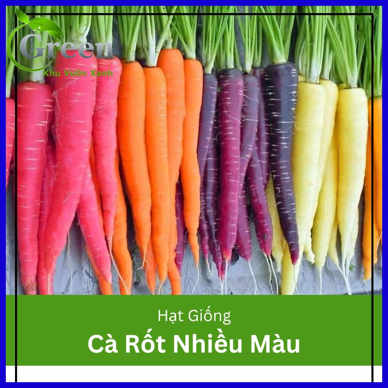 Hạt Giống Cà Rốt Nhiều Màu Mix