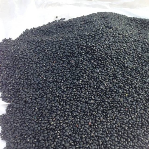 Trà đậu đen 1kg
