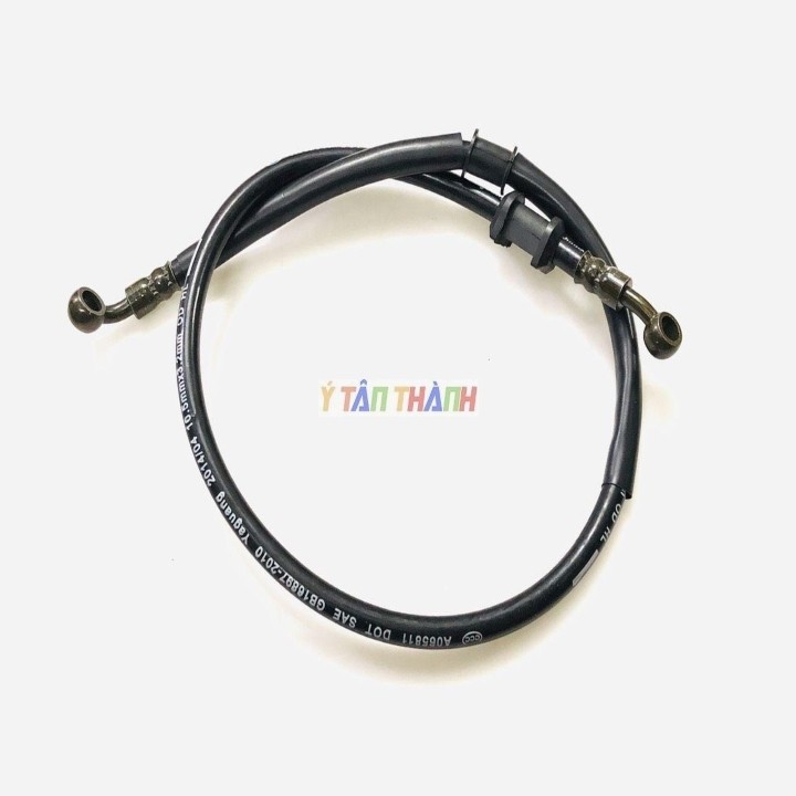 Dây Dầu Thắng Trước
