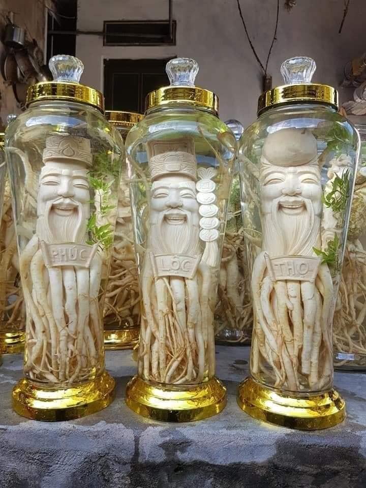 Đinh lăng điêu khắc - Phúc Lộc Thọ ( bình 7l)