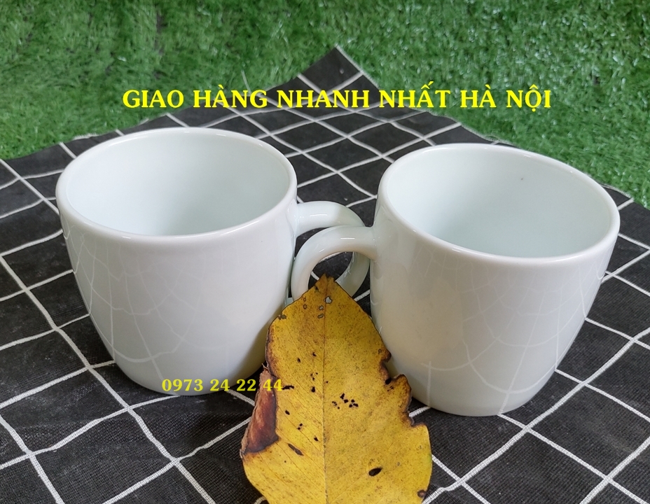 CỐC SỨ TRẮNG LY SỨ