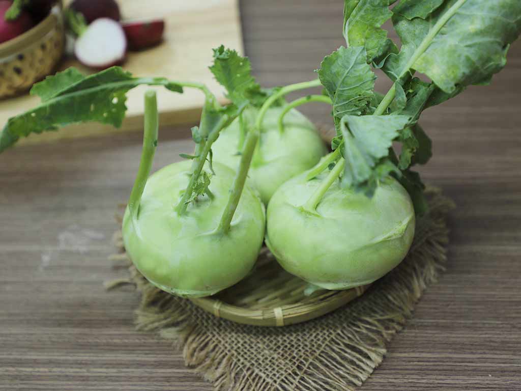 HẠT GIỐNG SU HÀO F1 PN GÓI 2GRAM