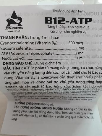 05 LỌ TĂNG LỰC CHO GÀ ĐÁ B12_ATP
