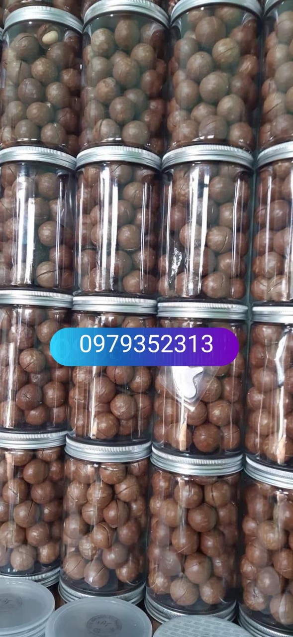 Macca Đak Lak Sấy Loại 1 - Size Đại (500Gr) MCĐ01