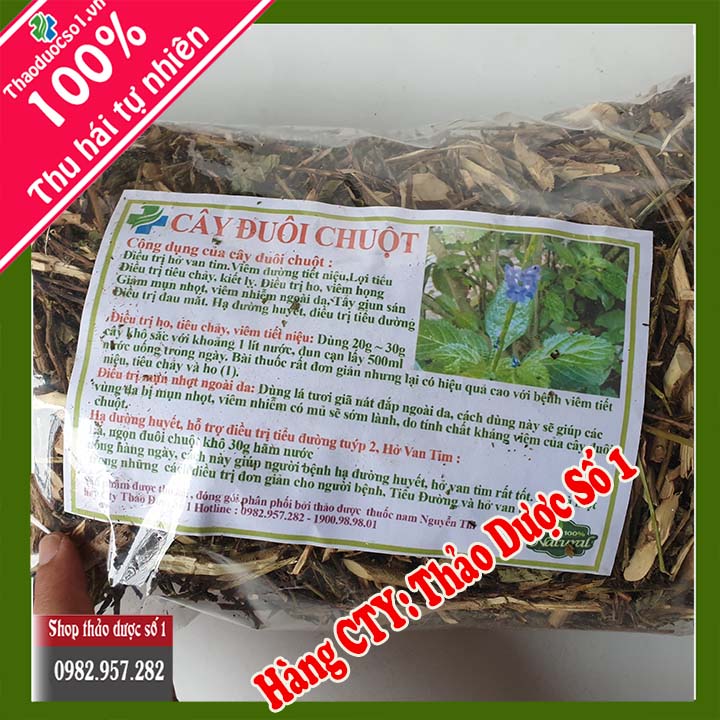 Cây đuôi chuột (1kg khô) - Hàng CTY Thaoduocso1