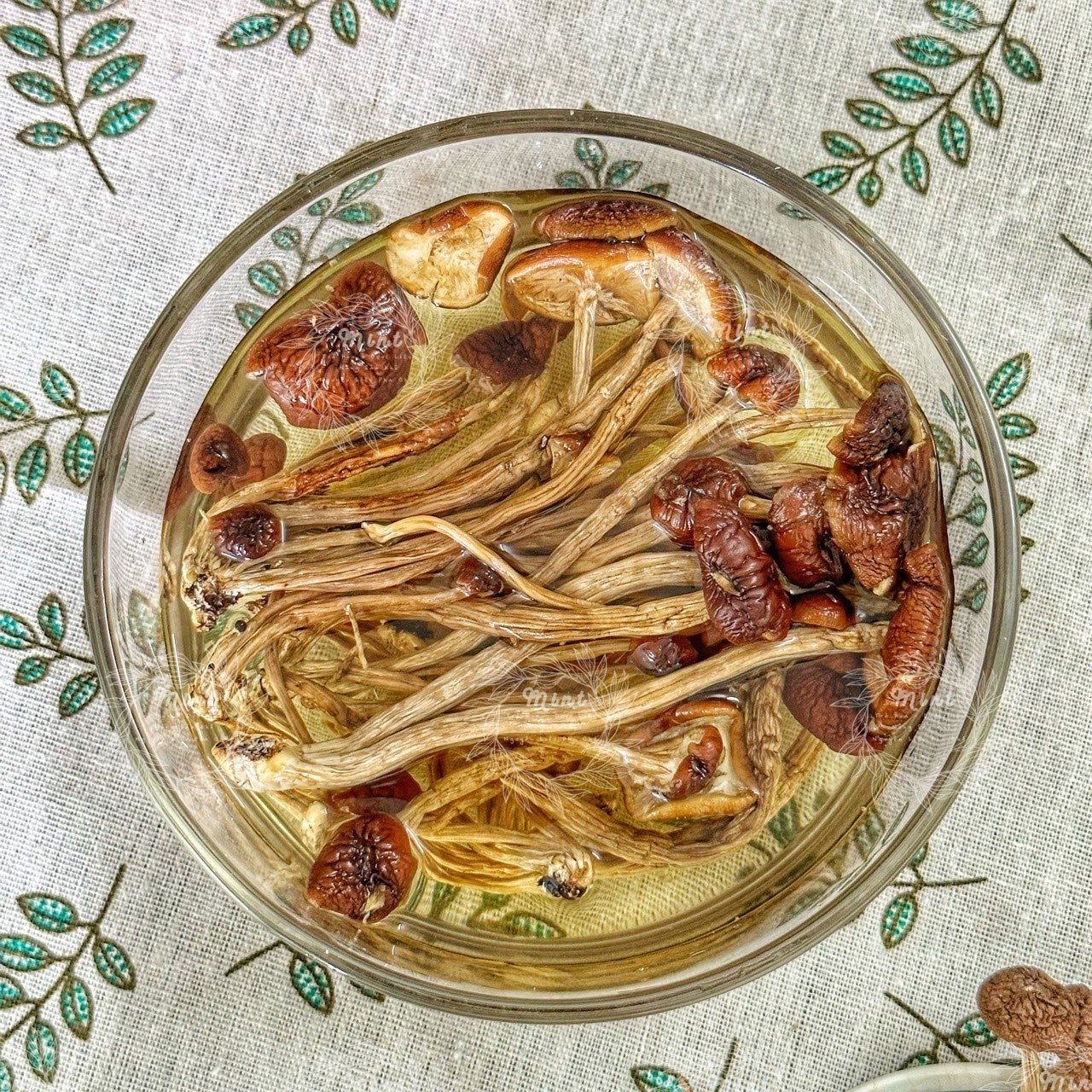 Nấm Chè Sấy Khô (Nấm Trà Tân Khô) - Túi 100gr