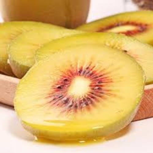 CÂY GIỐNG KIWI VÀNG CHỊU NHIỆT