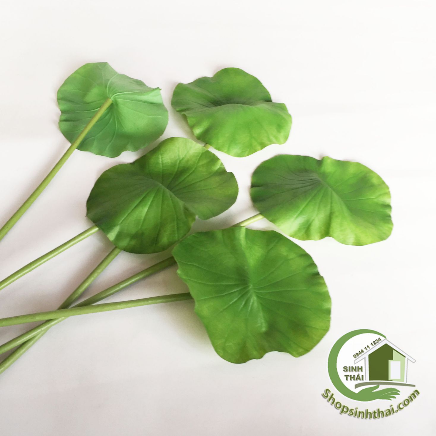 [HCM]Lá sen giả - cành lá sen cao cấp - 1 lá