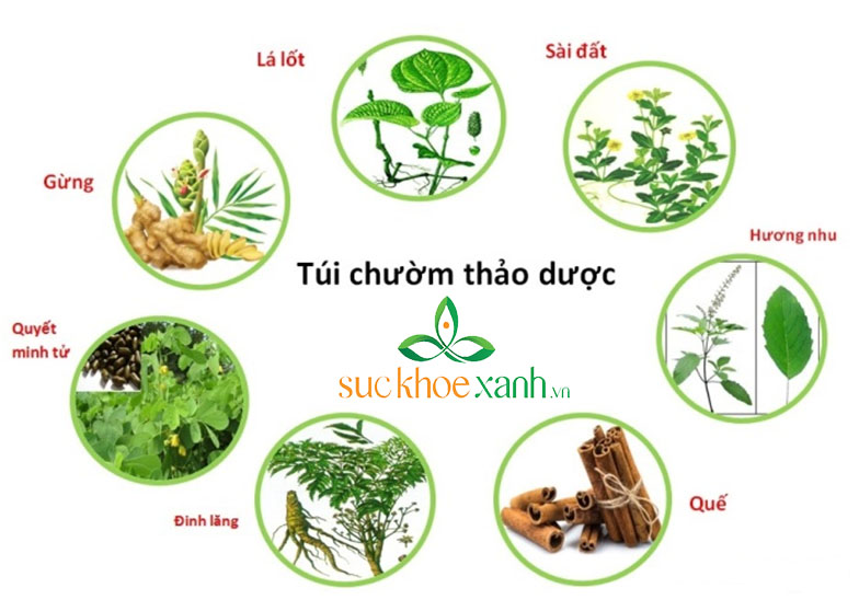 Túi chườm thảo dược SKX chườm mắt