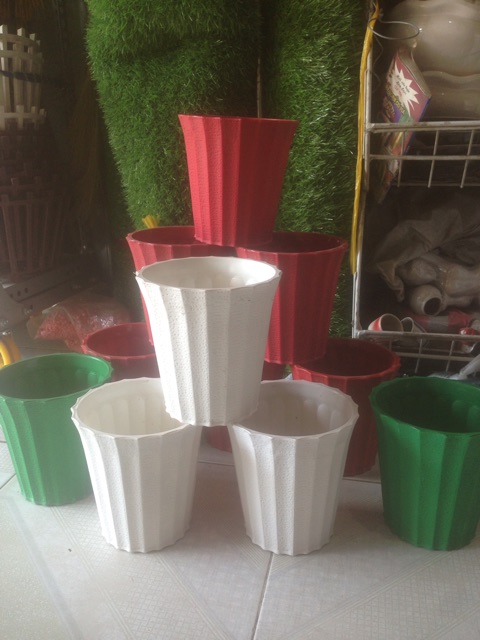 Combo 5 Chậu Nhựa Trồng Cây Hoa