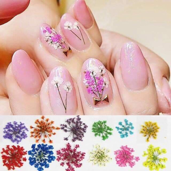 [HCM]SET HOA KHÔ TRANG TRÍ MÓNG - hoa khô