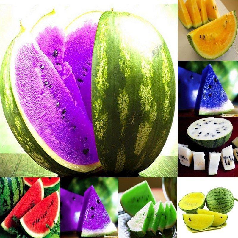 [3 packs] - Colorful Watermelon Fruit Seeds