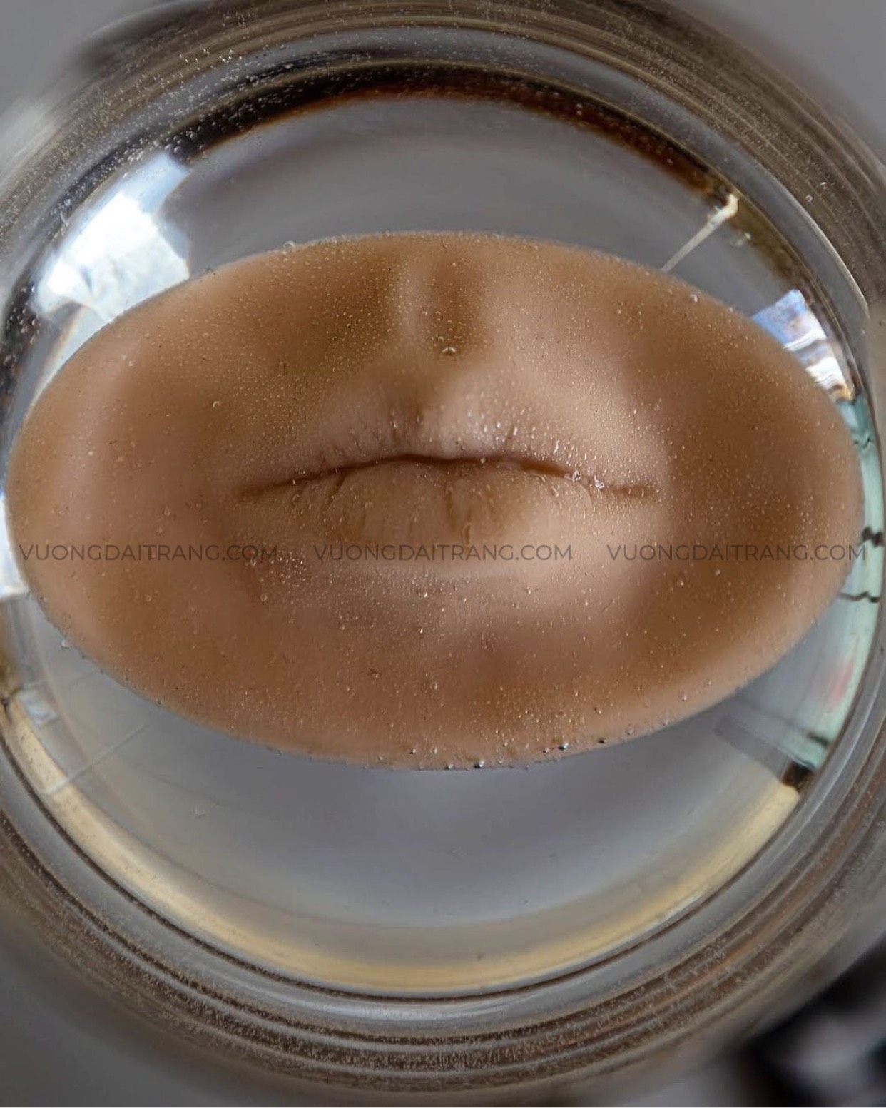 Da giả Silicon 3D LIPS