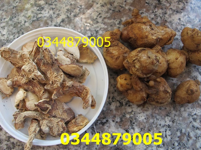 Củ xá kén/xá kiếng khô 0.5kg