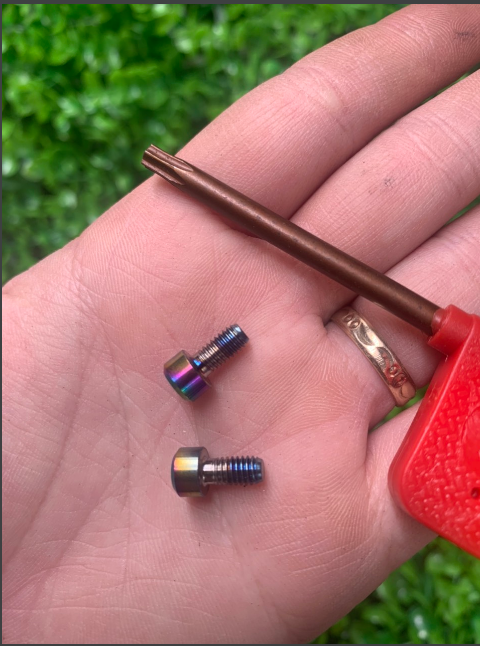 Cặp ốc titan m4 ( 2 con ốc + tay vặn )