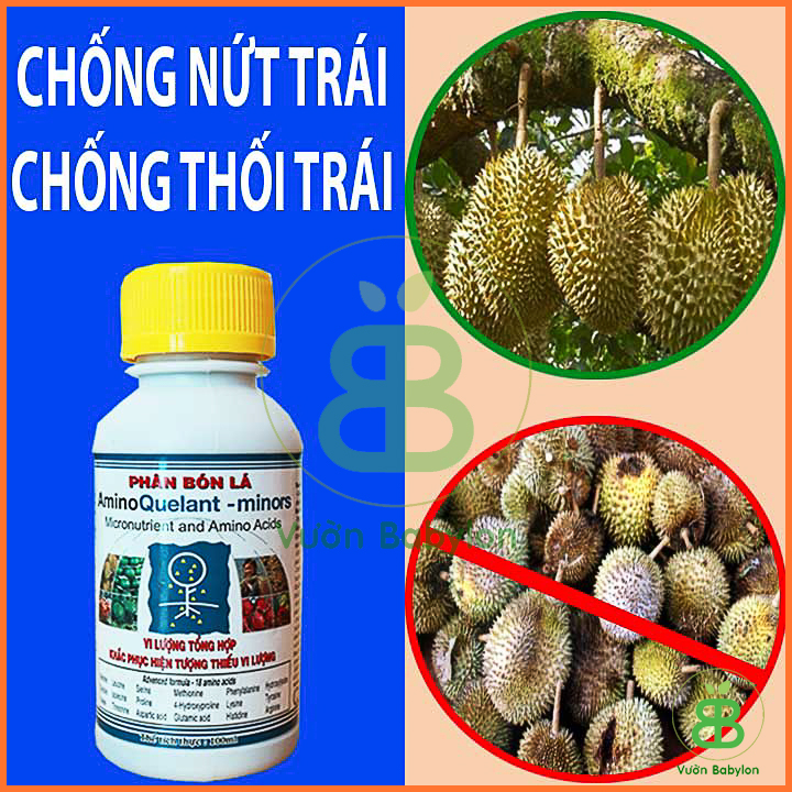 Phân Bón Lá Vi Lượng Amino Minors 100ML