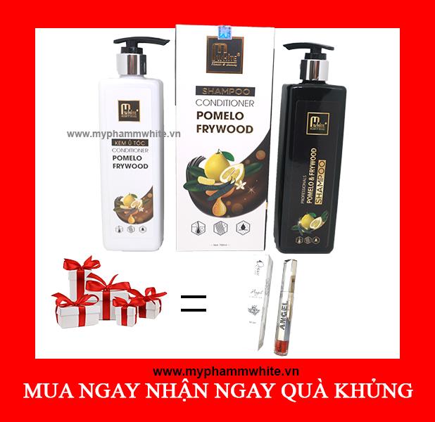 Combo dầu gội - ủ tóc giảm quá trình rụng tóc ( Tặng Son Lì Angel Queen) tốt nhất