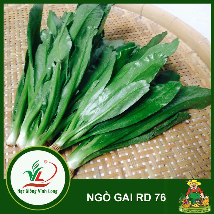 Hạt giống Ngò gai RD 76 - 10g