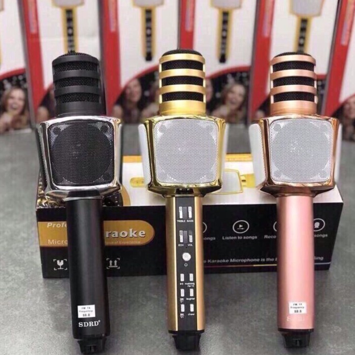 [HCM]MIC KARAOKE 3IN1 SD-17
