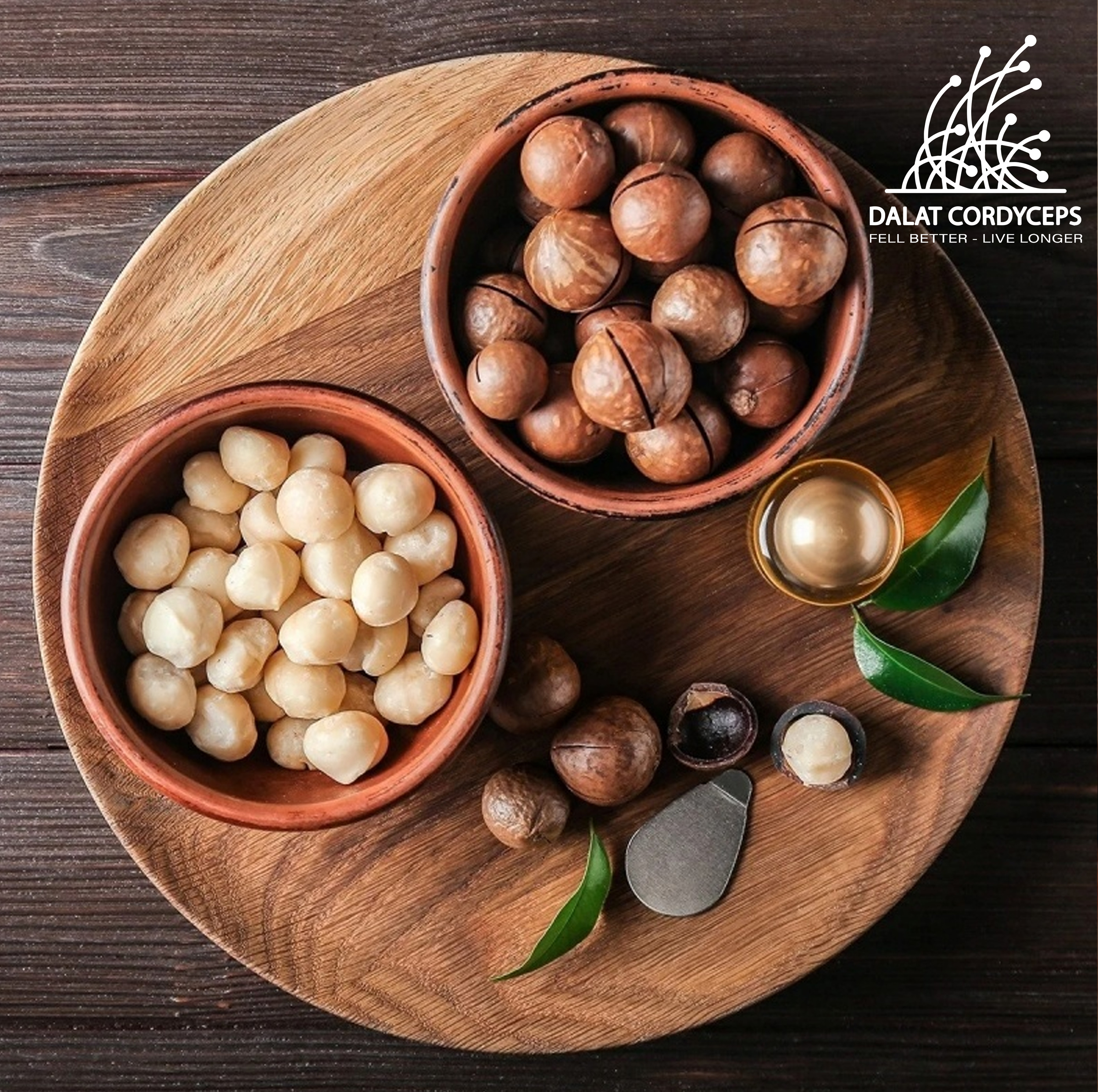 Hạt macca nứt vỏ - Dalat Cordyceps - loại 1