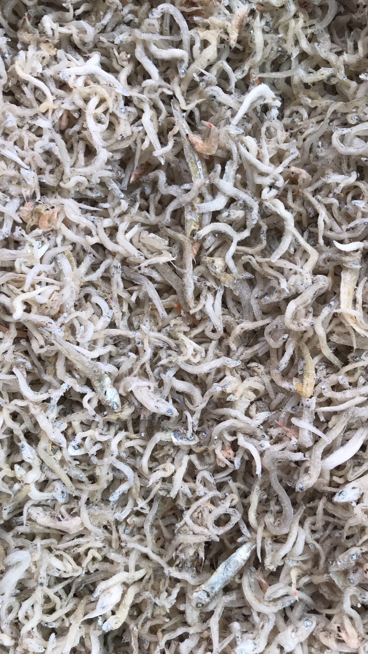 cá cơm 1kg - khô cá cơm - cá cơm mờm sữa