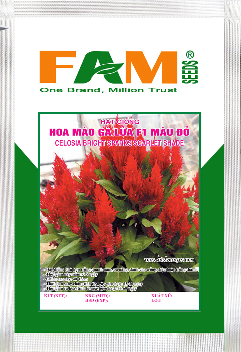 Hạt giống hoa mào gà lửa f1 màu đỏ -fam seeds