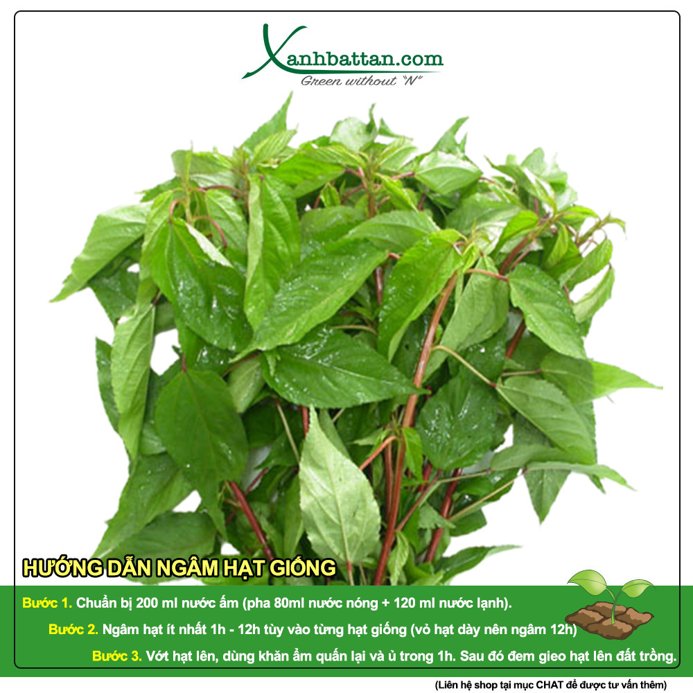 Hạt Giống Rau Đay Đỏ Phú Nông Gói 20 Gram