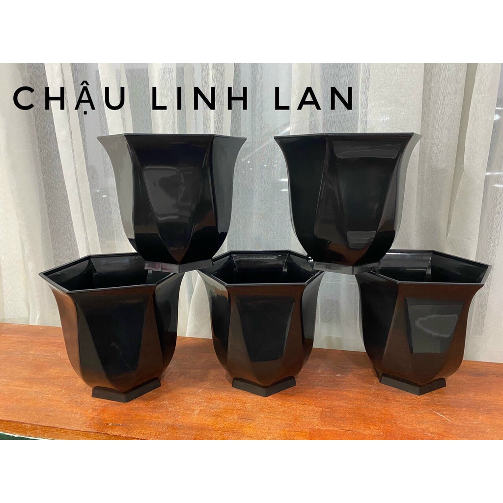 Chậu hoa Linh Lan Cao Cấp (23 x 22 x 13 cm)