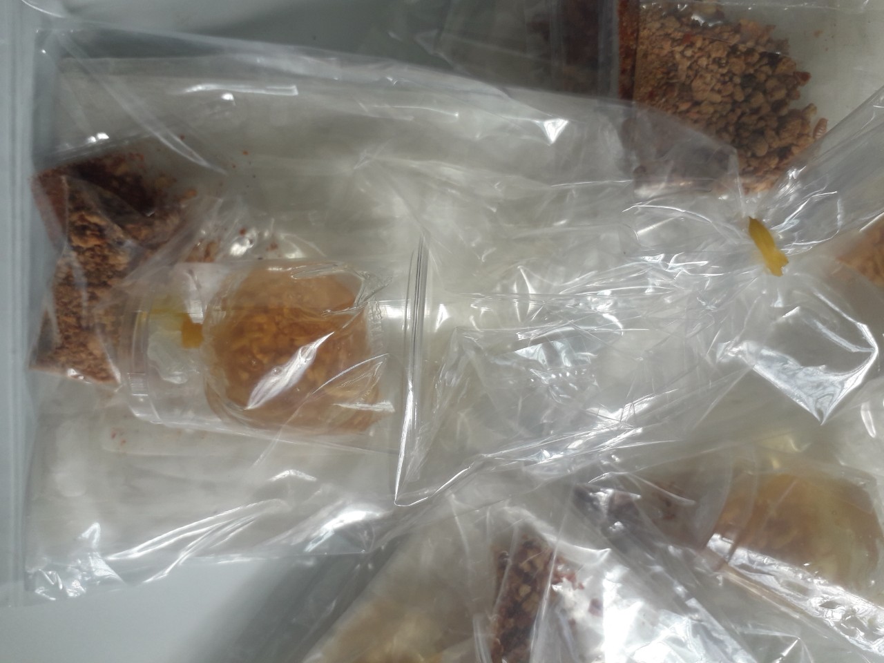 5 bịch bánh tráng dầu tỏi siêu ngon