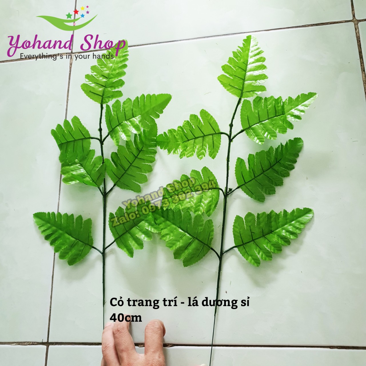 Lá dương sỉ cắm hoa (Giá/2 nhánh)