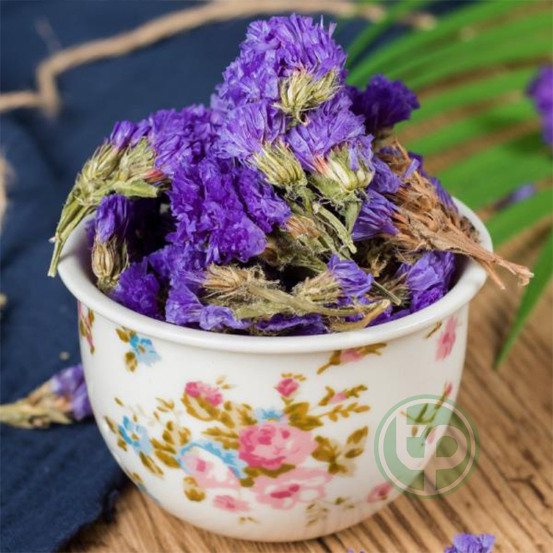 [Hàng loại 1] Hoa lưu ly khô hàng công ty chất lượng túi lớn loại 1kg - Thảo Dược Tấn Phát