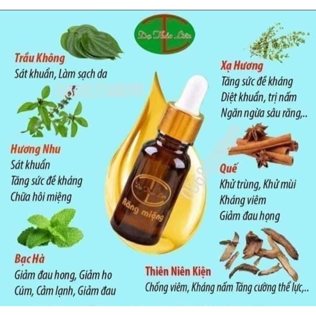 [Hoàn tiền 20%] Tinh dầu răng miệng Dạ Thảo Liên 20ml