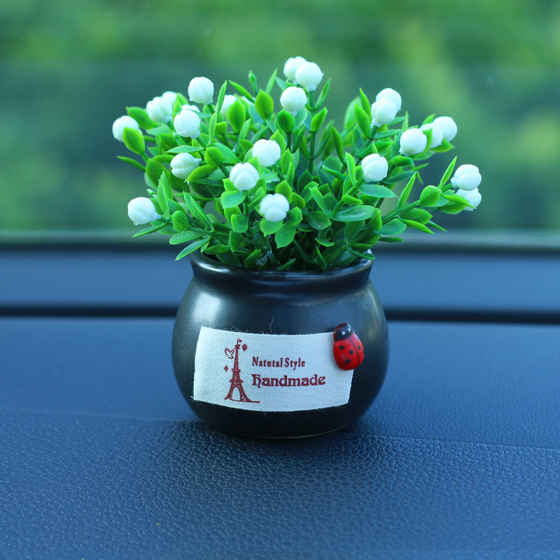 Phụ Kiện Trang Trí Ô Tô Chậu Cây Mini Cực Xinh Trang Trí Taplo Xe Hơi, Bàn Làm Việc, Bàn Học - Phụ Kiện Oto Hitechlife