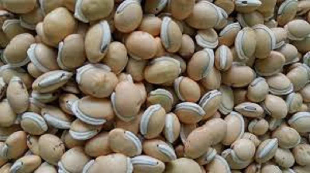 đậu ván 1kg