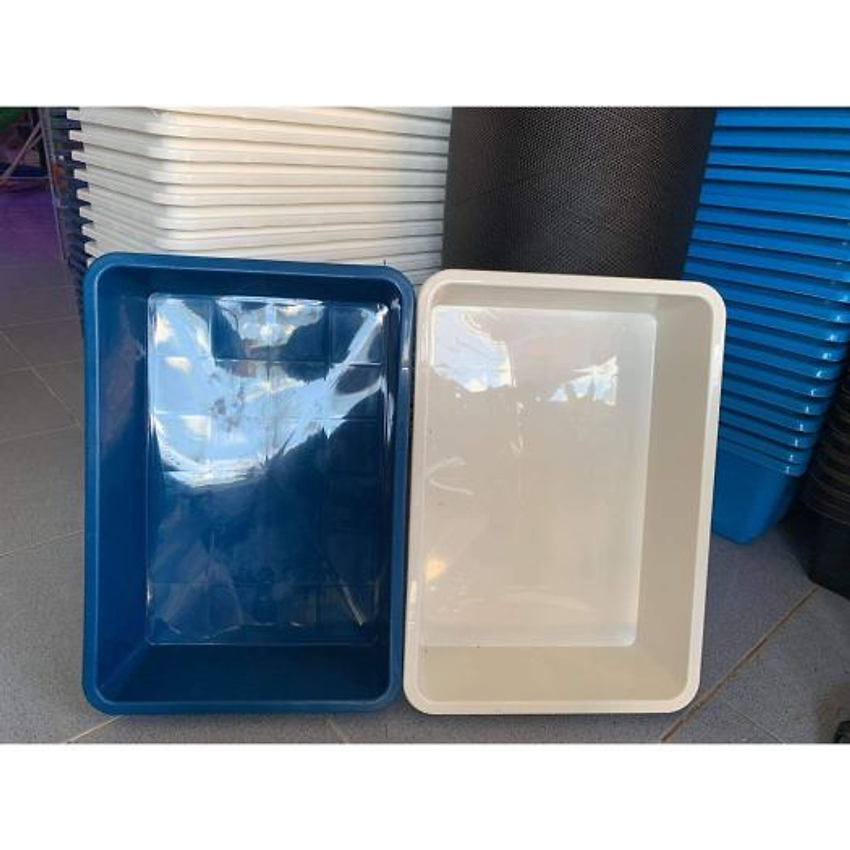 Bộ 3 Chậu nhựa Khay nhựa nuôi cá 16L kích thước 50x35x14cm - Nhựa dày, chắc chắn