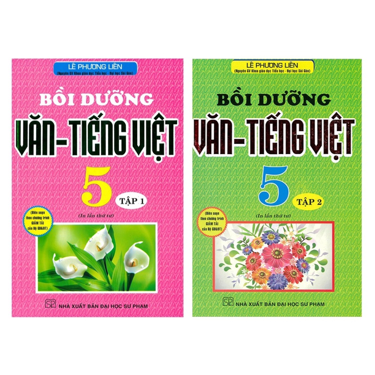 Sách - Combo Bồi Dưỡng Văn Tiếng Việt 5 - Biên soạn theo chương trình giảm tải -