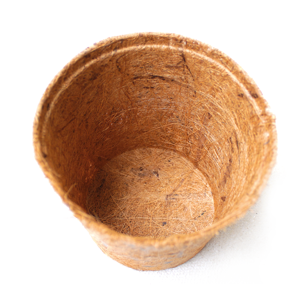 Chậu Xơ Dừa tự nhiên 12x11.3cm