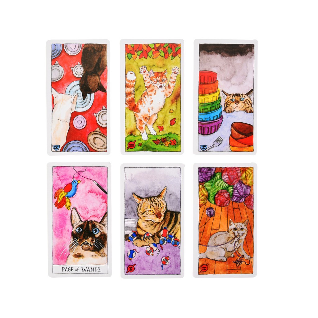 Bộ bài Cat Tarot Size Gốc