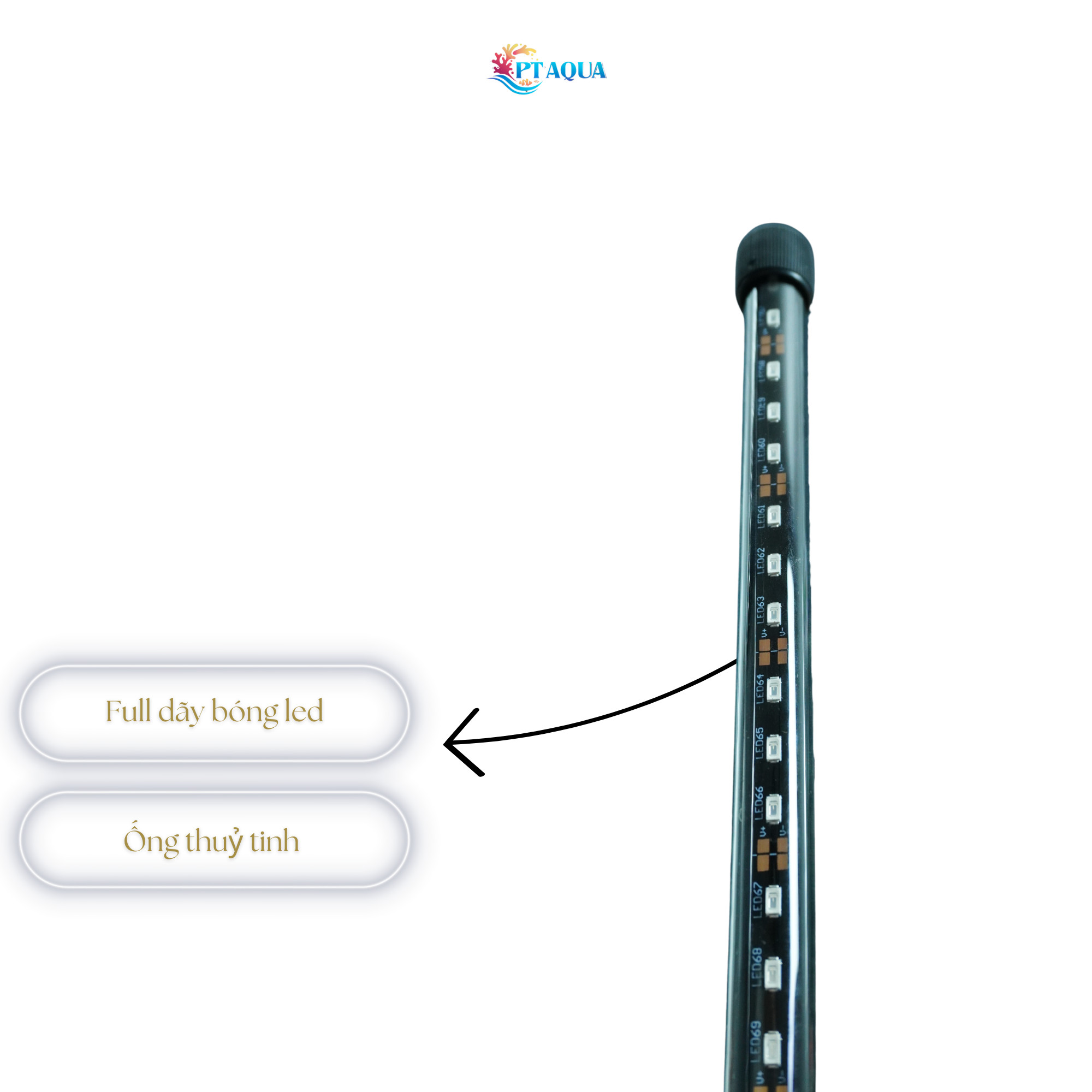 Đèn bể cá Blue xanh biển dành cho hồ cá cảnh
